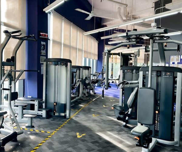 Interior of a clean and modern gym with strength training equipment.